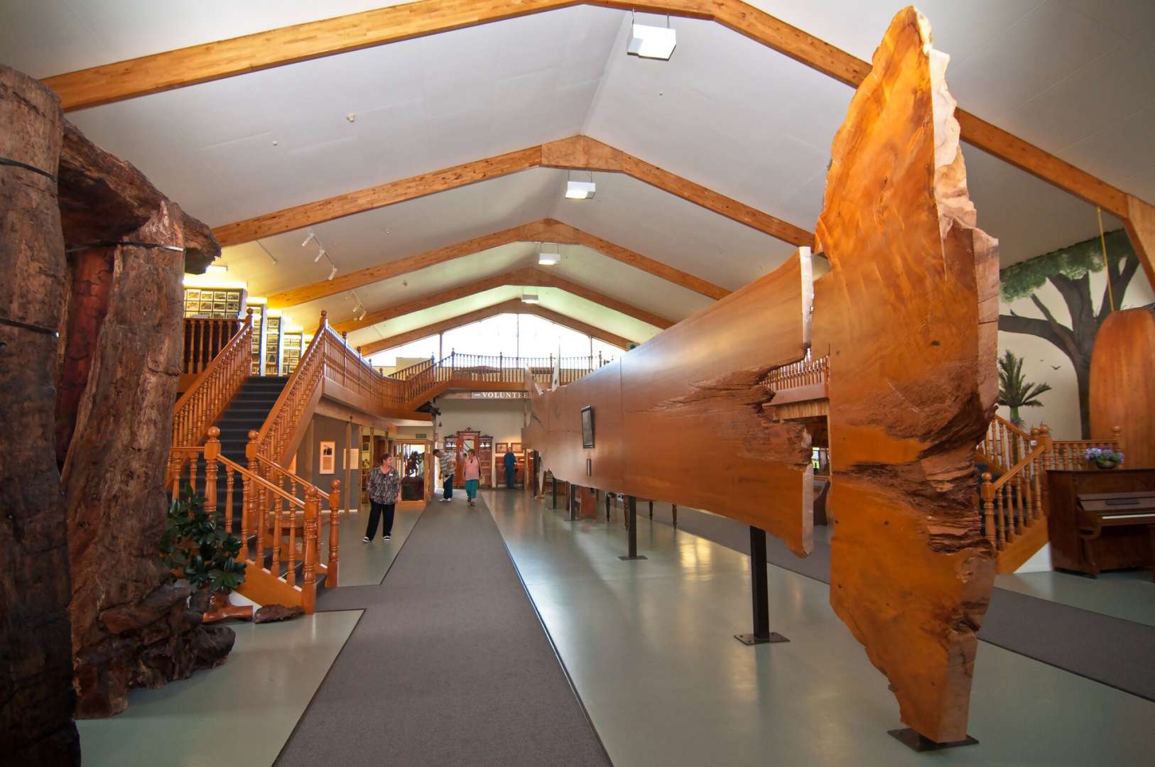 Giant Kauri Slab